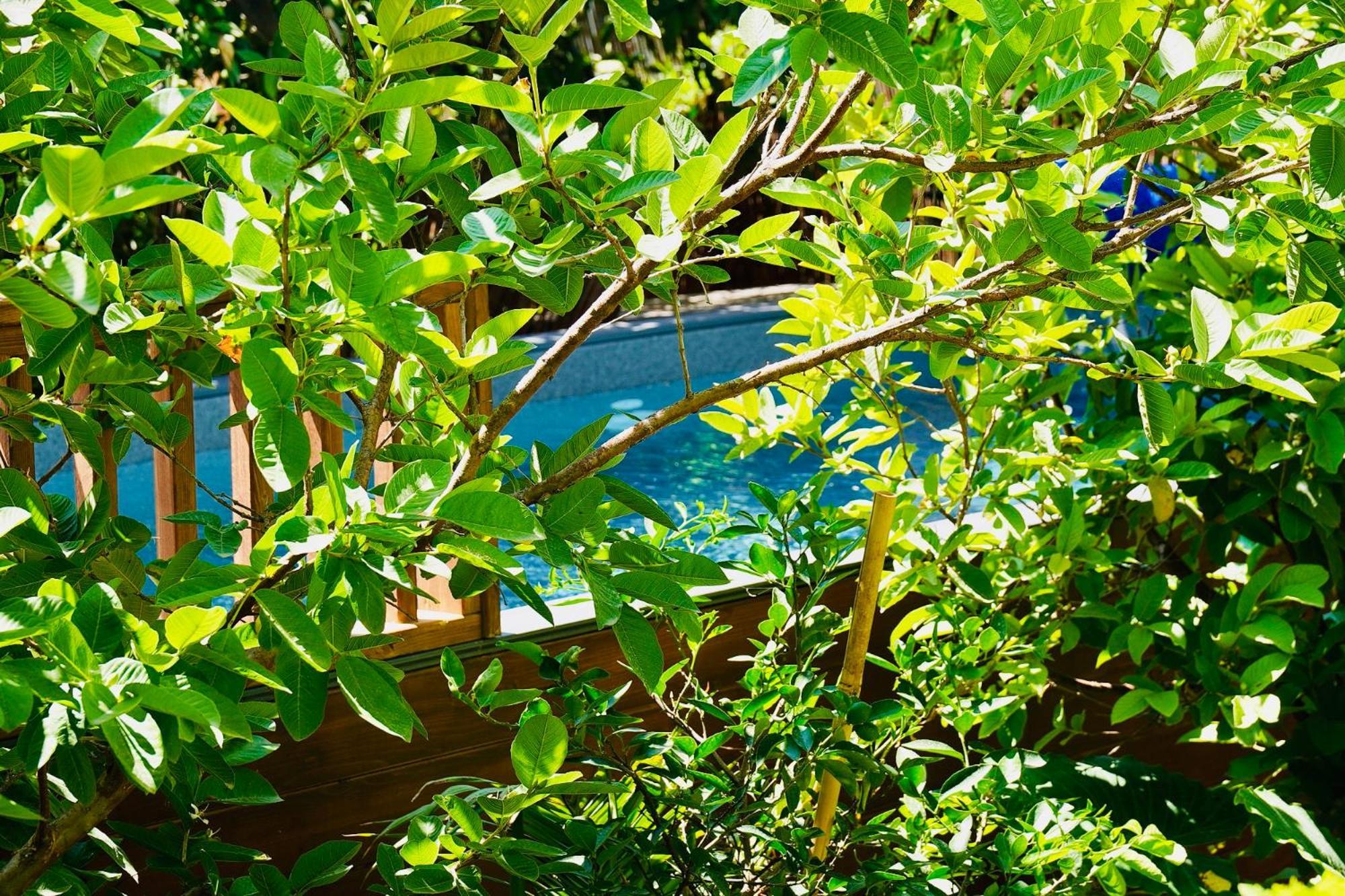 Villa אדמת הארץ - Admat Haaretz à Hazon Extérieur photo